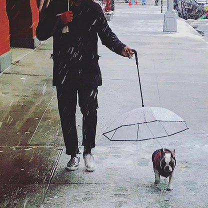 Pet Pawsome Transparent Pet Umbrella - The Ultimate Pet Umbrella