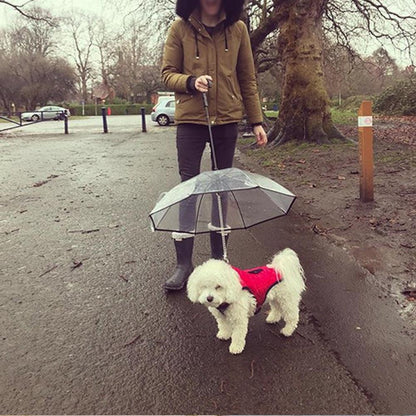 Pet Pawsome Transparent Pet Umbrella - The Ultimate Pet Umbrella
