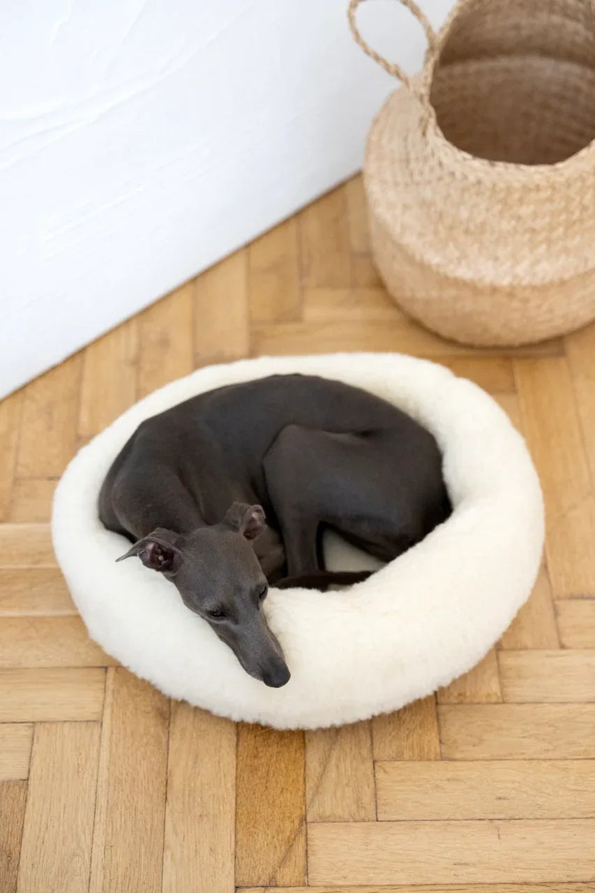 Round Natural Wool Pet Bed (White)