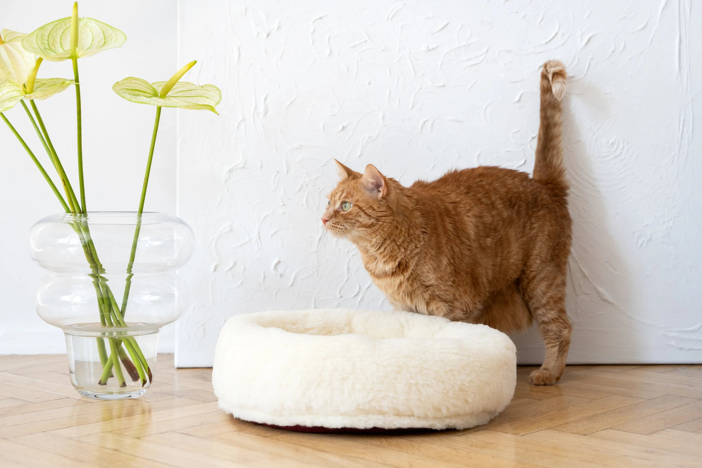 Round Natural Wool Pet Bed (White)