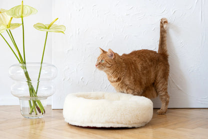 Round Natural Wool Pet Bed (White)