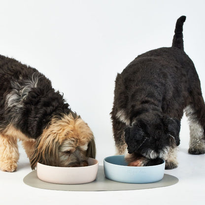 Ceramic Pet Bowl
