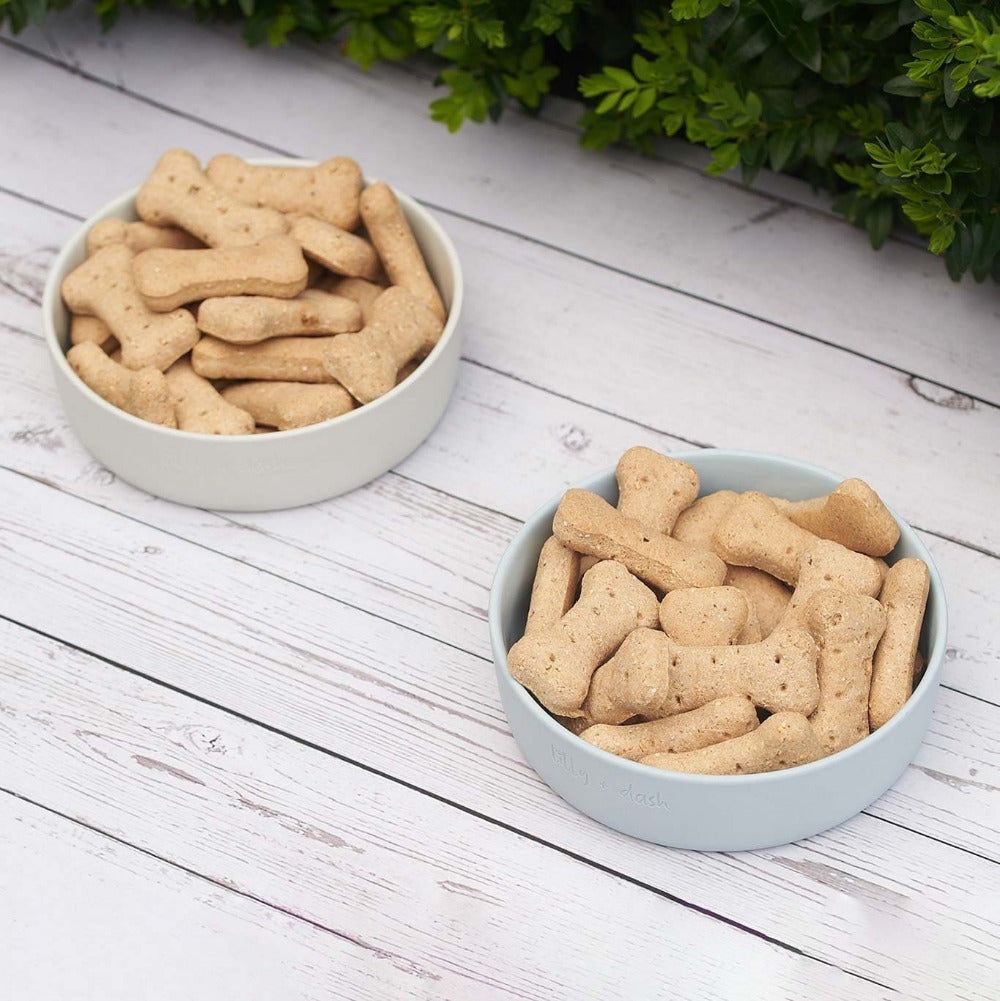 Ceramic Pet Bowl